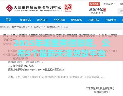 2025年哪里有借款呢，公布5个最新天津贷款平台