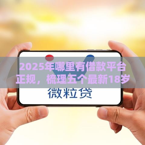 2025年哪里有借款平台正规，梳理五个最新18岁的贷款平台