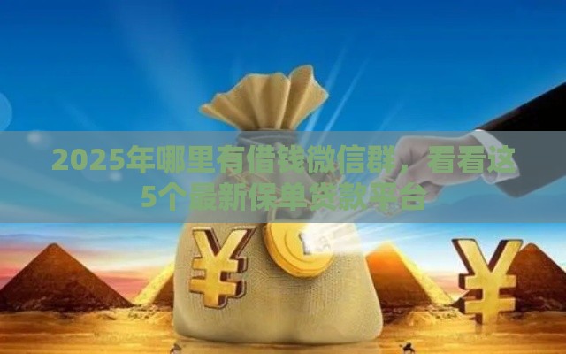 2025年哪里有借钱微信群，看看这5个最新保单贷款平台