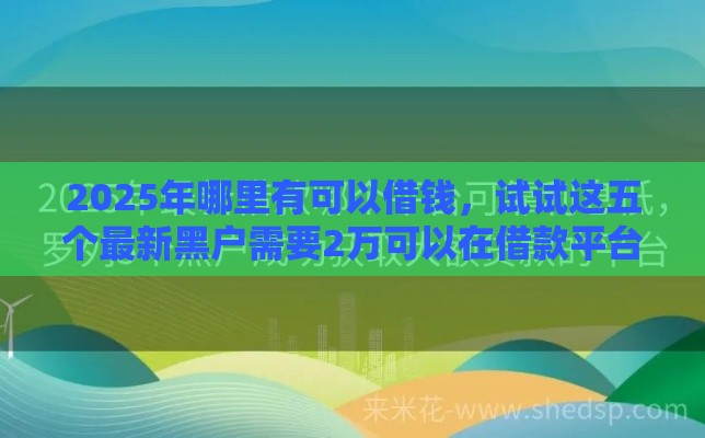 2025年哪里有可以借钱,试试这五个最新黑户需要2万可以在借款平台借款 2025年哪里有可以借钱,试试这五个最新黑户需要2万可以在借款平台借款