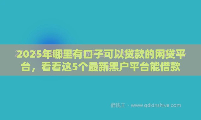 2025年哪里有口子可以贷款的网贷平台，看看这5个最新黑户平台能借款
