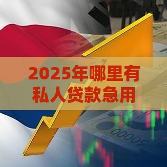 2025年哪里有私人贷款急用钱，整合五个最新18周岁可以贷款的平台