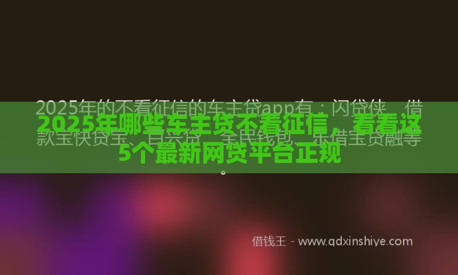 2025年哪些车主贷不看征信，看看这5个最新网贷平台正规
