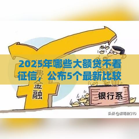2025年哪些大额贷不看征信，公布5个最新比较容易贷款的平台