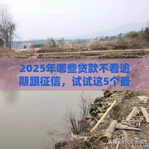2025年哪些贷款不看逾期跟征信，试试这5个最新2025大花户放水秒下款的口子
