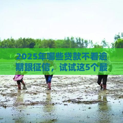 2025年哪些贷款不看逾期跟征信，试试这5个最新2025大花户放水秒下款的口子