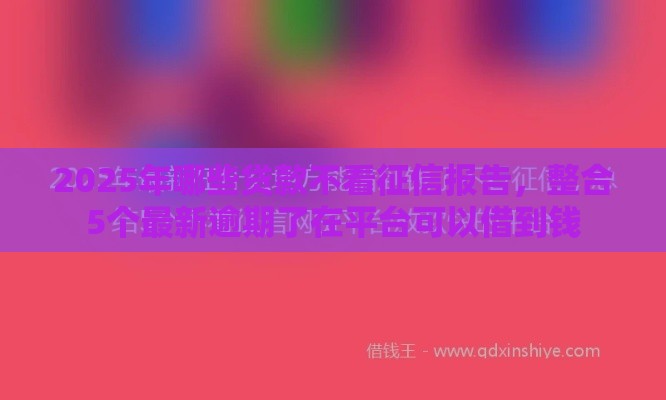 2025年哪些贷款不看征信报告，整合5个最新逾期了在平台可以借到钱