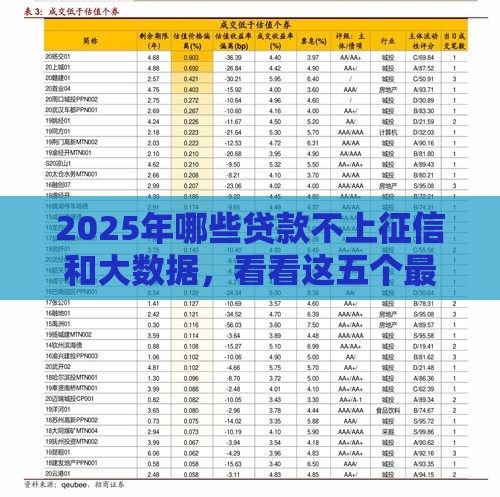 2025年哪些贷款不上征信和大数据，看看这五个最新58岁可以贷款的口子
