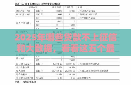 2025年哪些贷款不上征信和大数据，看看这五个最新58岁可以贷款的口子