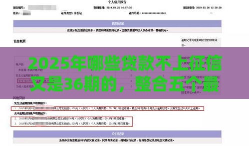 2025年哪些贷款不上征信又是36期的，整合五个最新不上征信得网贷平台下载