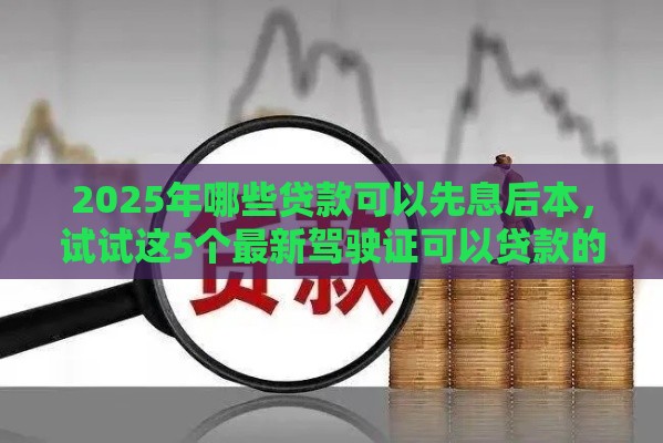 2025年哪些贷款可以先息后本，试试这5个最新驾驶证可以贷款的平台