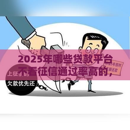 2025年哪些贷款平台不看征信通过率高的，整理5个最新黑征信口子
