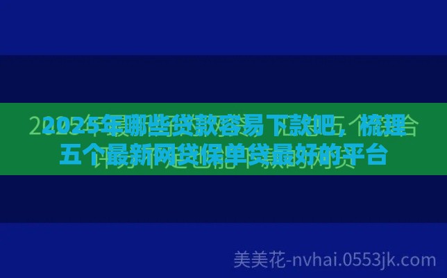 2025年哪些贷款容易下款吧，梳理五个最新网贷保单贷最好的平台