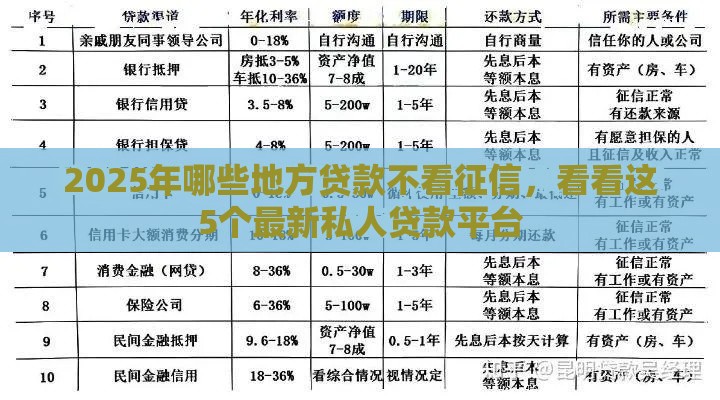 2025年哪些地方贷款不看征信，看看这5个最新私人贷款平台