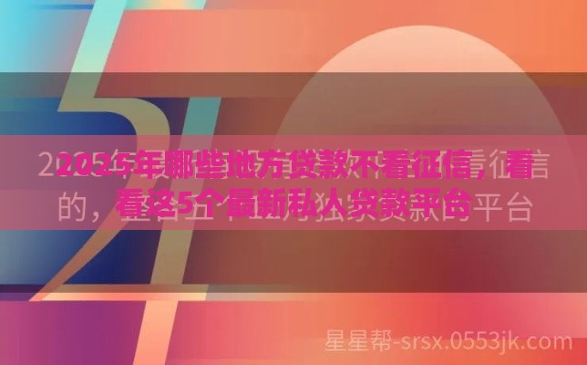 2025年哪些地方贷款不看征信，看看这5个最新私人贷款平台