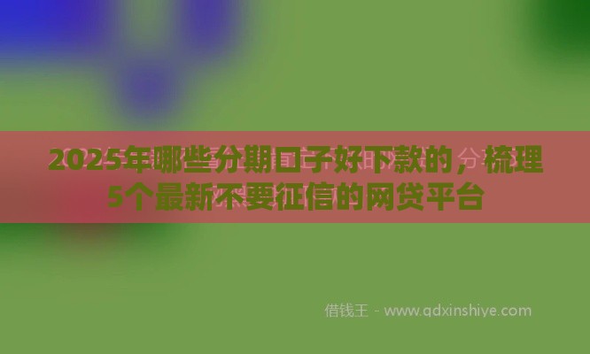 2025年哪些分期口子好下款的，梳理5个最新不要征信的网贷平台