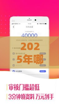 2025年哪些好下款的小贷，公布5个最新好贷款的平台