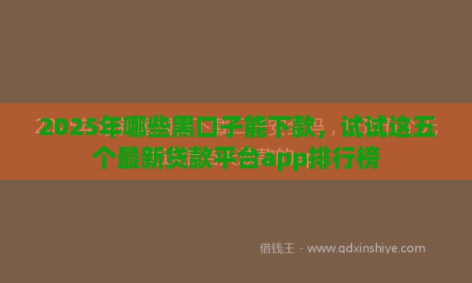 2025年哪些黑口子能下款，试试这五个最新贷款平台app排行榜