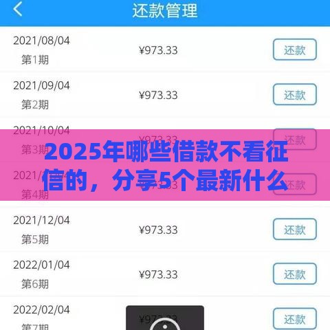 2025年哪些借款不看征信的，分享5个最新什么网贷是正规平台