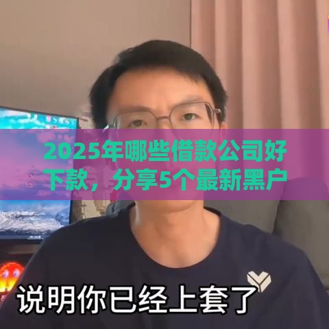 2025年哪些借款公司好下款，分享5个最新黑户花户在平台能下款