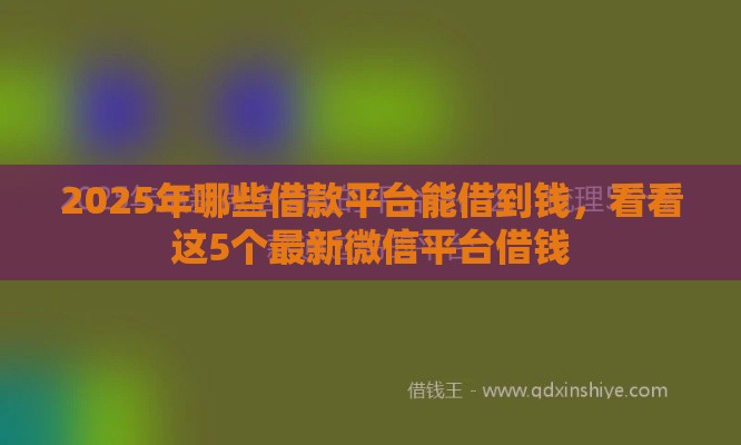 2025年哪些借款平台能借到钱，看看这5个最新微信平台借钱
