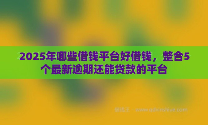 2025年哪些借钱平台好借钱，整合5个最新逾期还能贷款的平台