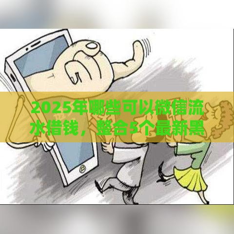 2025年哪些可以微信流水借钱，整合5个最新黑户网贷必下款的平台