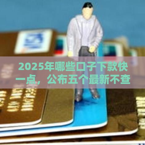 2025年哪些口子下款快一点，公布五个最新不查征信的网络贷款平台