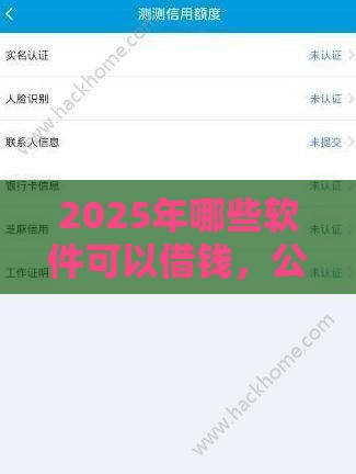 2025年哪些软件可以借钱，公布5个最新借款平台借钱最靠谱