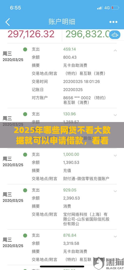 2025年哪些网贷不看大数据就可以申请借款，看看这5个最新汽车贷款平台排名不分先后前十