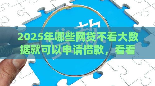 2025年哪些网贷不看大数据就可以申请借款，看看这5个最新汽车贷款平台排名不分先后前十