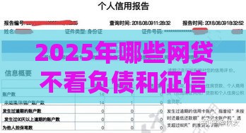 2025年哪些网贷不看负债和征信，公布5个最新绝对不上征信的贷款平台