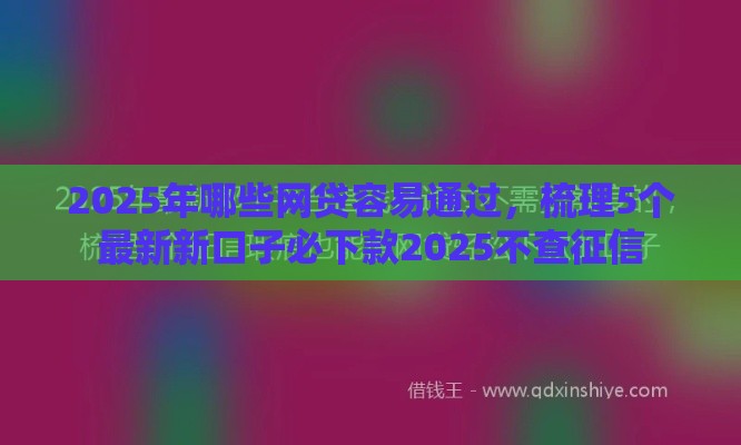 2025年哪些网贷容易通过，梳理5个最新新口子必下款2025不查征信