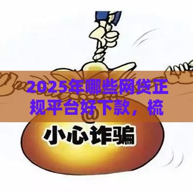 2025年哪些网贷正规平台好下款，梳理五个最新什么贷款平台靠谱