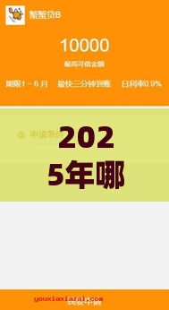 2025年哪些网贷最容易下款的，分享5个最新65岁稳放款口子正规网贷