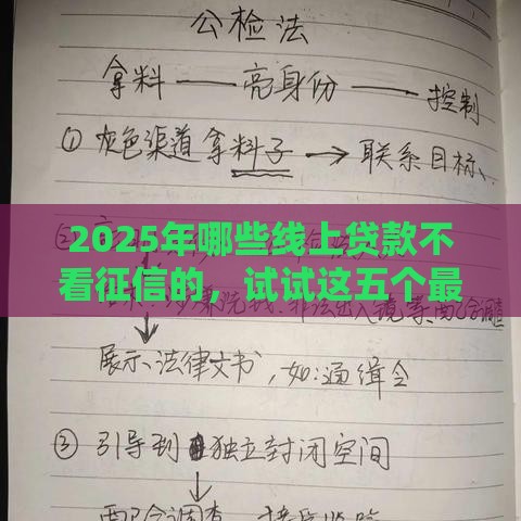 2025年哪些线上贷款不看征信的，试试这五个最新购物贷款平台
