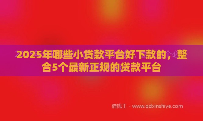 2025年哪些小贷款平台好下款的，整合5个最新正规的贷款平台