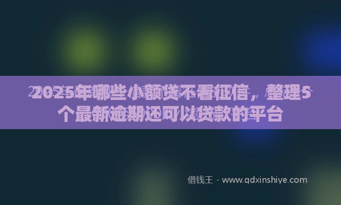 2025年哪些小额贷不看征信，整理5个最新逾期还可以贷款的平台