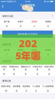 2025年哪些小额贷不看征信记录，试试这5个最新黑户下款口子