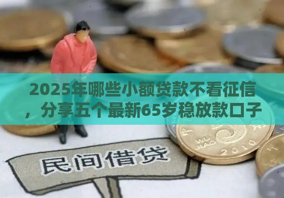 2025年哪些小额贷款不看征信，分享五个最新65岁稳放款口子的年龄要求