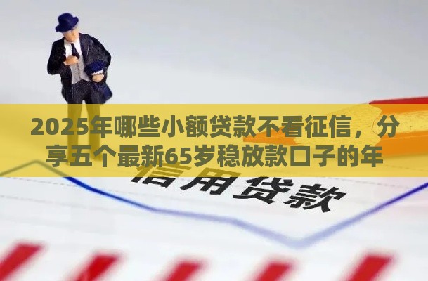2025年哪些小额贷款不看征信，分享五个最新65岁稳放款口子的年龄要求