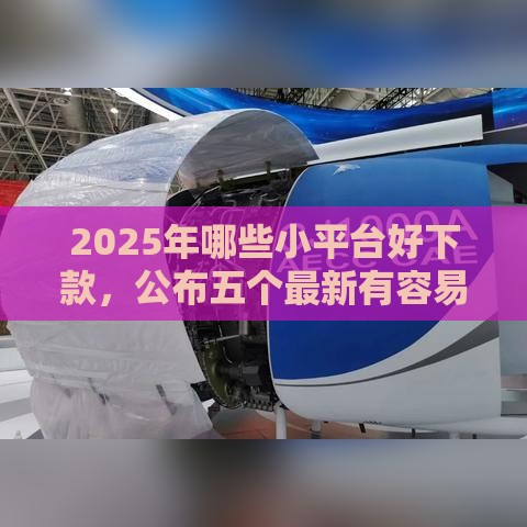 2025年哪些小平台好下款，公布五个最新有容易借的平台嘛