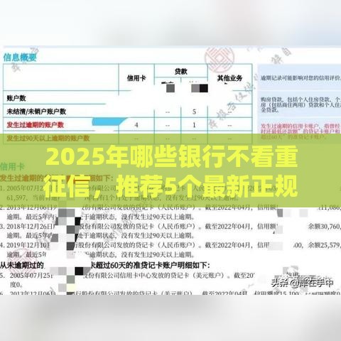 2025年哪些银行不看重征信，推荐5个最新正规不查征信下款的平台