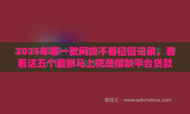 2025年哪一款网贷不看征信记录，看看这五个最新马上花是借款平台贷款