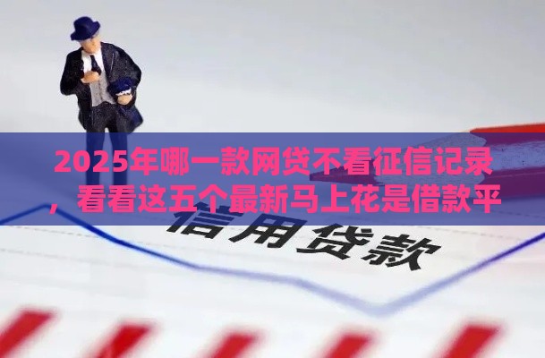 2025年哪一款网贷不看征信记录，看看这五个最新马上花是借款平台贷款