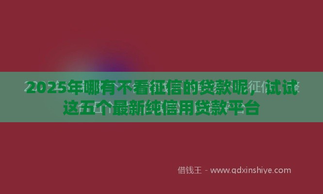 2025年哪有不看征信的贷款呢，试试这五个最新纯信用贷款平台