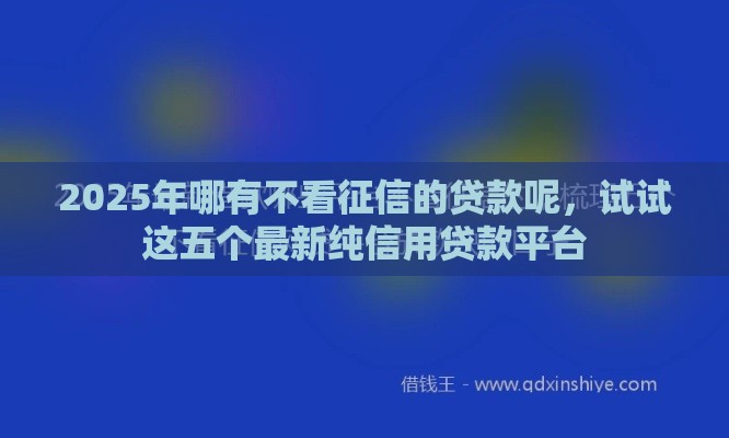 2025年哪有不看征信的贷款呢，试试这五个最新纯信用贷款平台