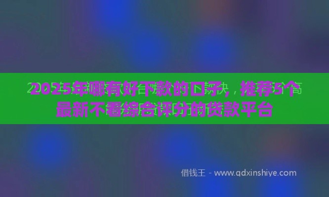 2025年哪有好下款的口子，推荐5个最新不看综合评分的贷款平台