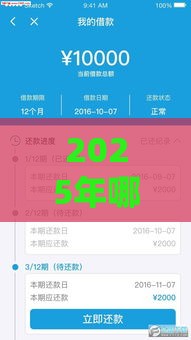 2025年哪有可以下款的口子贷款，梳理5个最新最可靠的贷款平台