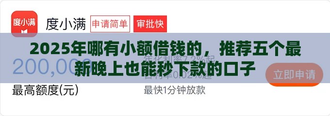 2025年哪有小额借钱的，推荐五个最新晚上也能秒下款的口子